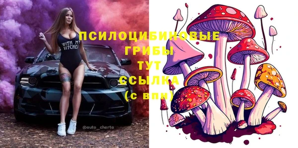 молекула духа Богородск