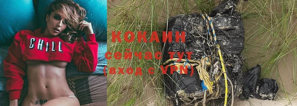 прущий лед Богородицк