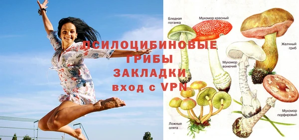 молекула духа Богородск